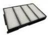 空調濾清器 Cabin Air Filter:G3210-FC000
